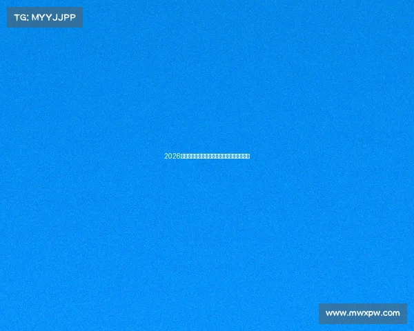 2026年世界杯激情盛宴蒙牛助力球迷共享精彩瞬间