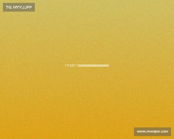 FIFA2011是不是世界杯解析足球游戏真实世界杯区别介绍 FIFA2011是不是世界杯解析足球游戏真实世界杯区别介绍